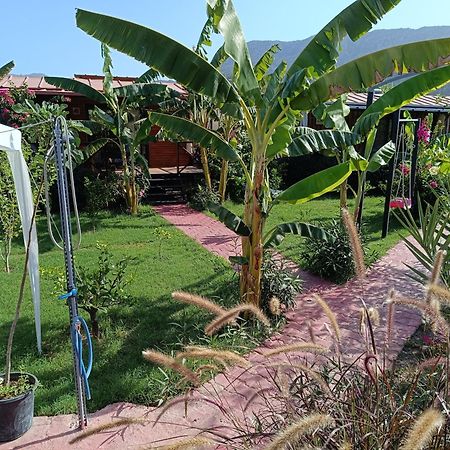 Arlin Bungalows Kemer Ngoại thất bức ảnh