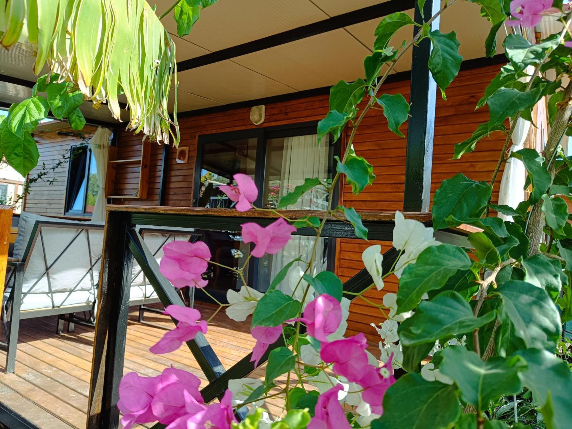Arlin Bungalows Kemer Phòng bức ảnh