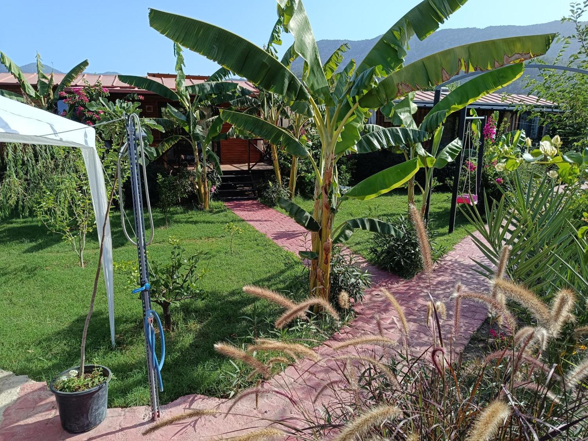 Arlin Bungalows Kemer Ngoại thất bức ảnh