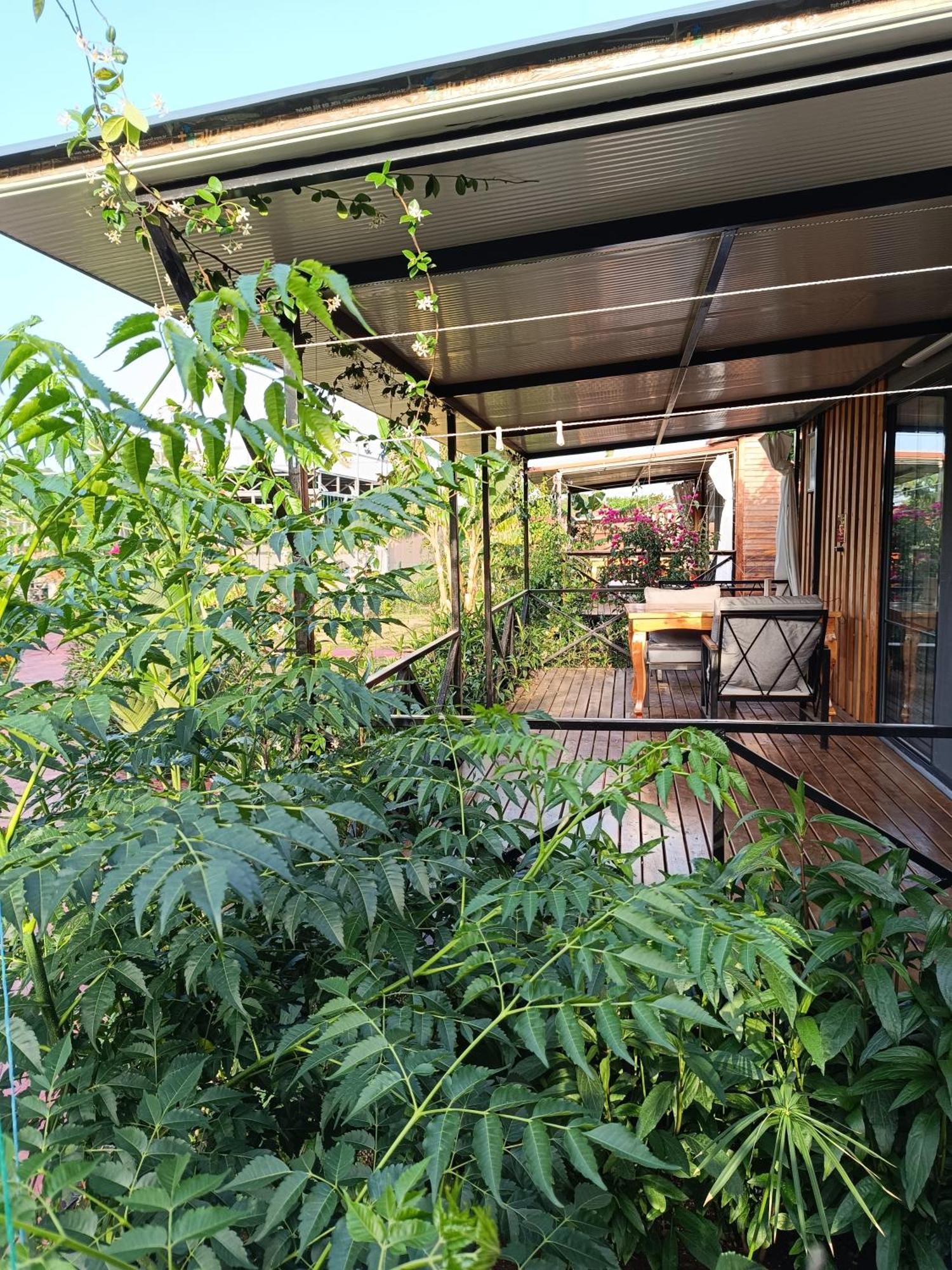 Arlin Bungalows Kemer Phòng bức ảnh