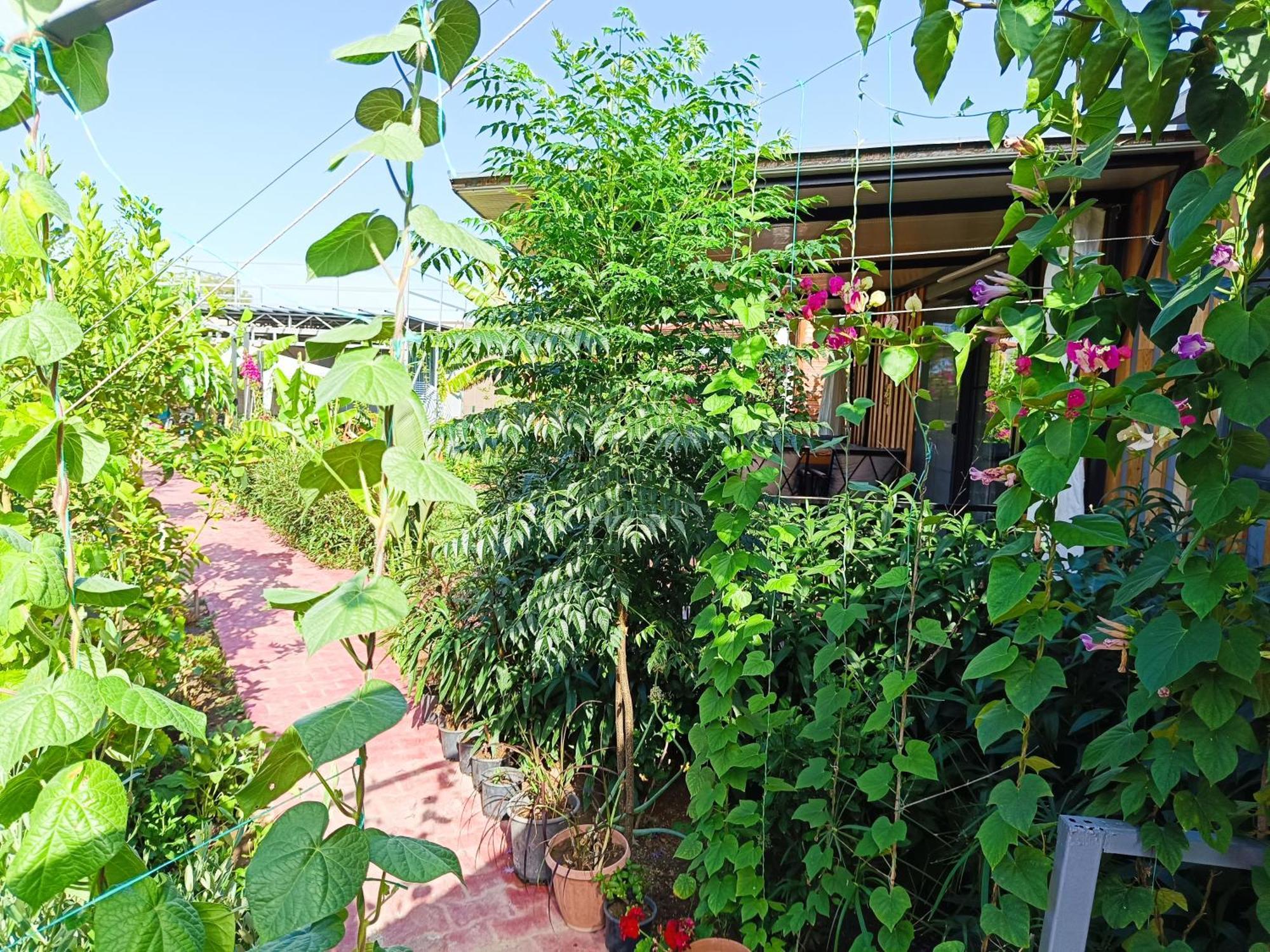 Arlin Bungalows Kemer Ngoại thất bức ảnh