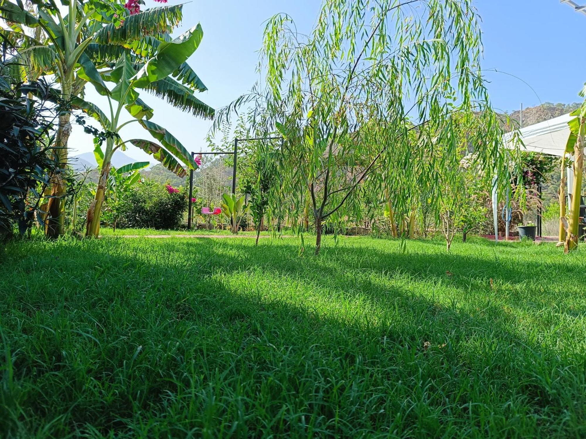Arlin Bungalows Kemer Ngoại thất bức ảnh