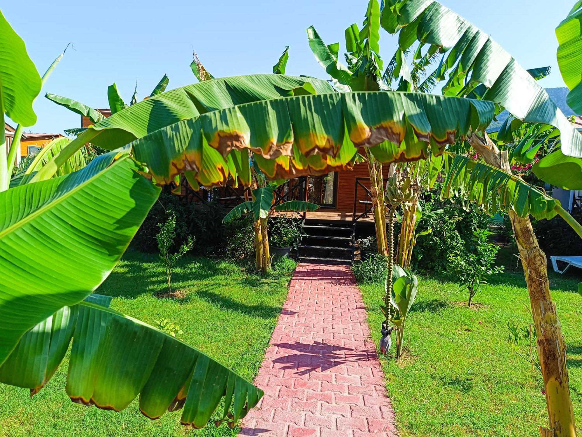 Arlin Bungalows Kemer Ngoại thất bức ảnh
